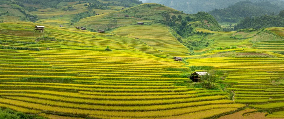 Kho gạo của Nguyễn Văn Hoan